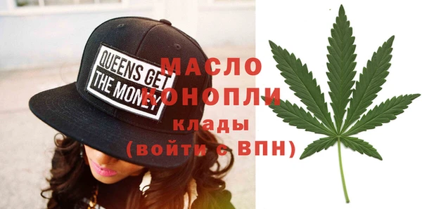 дживик Ельня