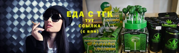 дживик Ельня