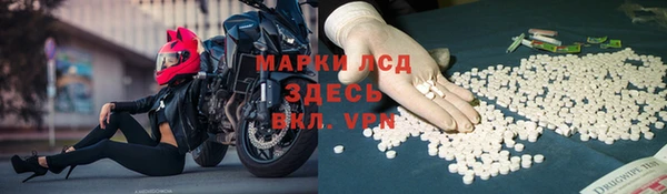 дживик Ельня