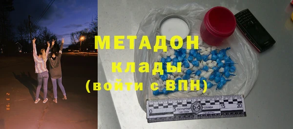 дживик Ельня