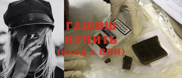 дживик Ельня