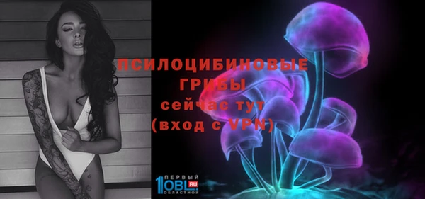 стафф Гусь-Хрустальный