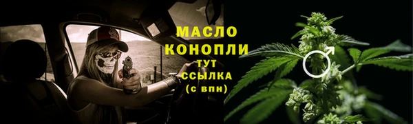 дживик Ельня