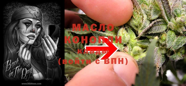дживик Ельня