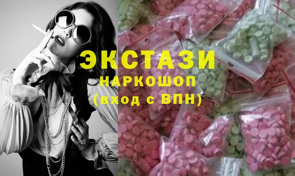 дживик Ельня
