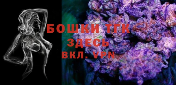 дживик Ельня