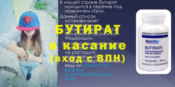 дживик Ельня