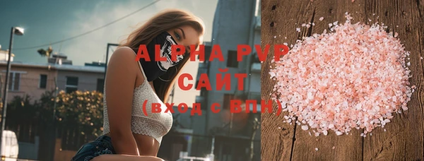 дживик Ельня