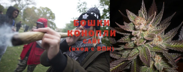 дживик Ельня