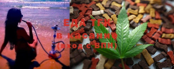 дживик Ельня