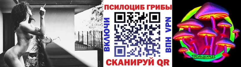 omg зеркало  дарнет шоп  Копейск  Галлюциногенные грибы Magic Shrooms 